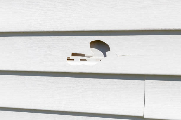 Siding for New Construction in Pender, NE