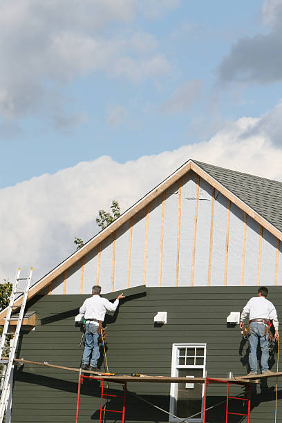 Best Fascia and Soffit Installation  in Pender, NE